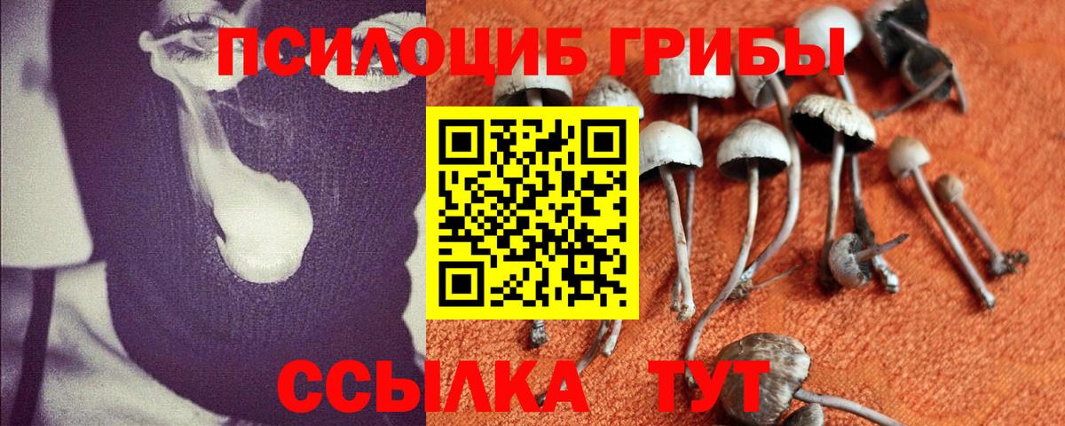 Галлюциногенные грибы мухоморы Южно-Сахалинск