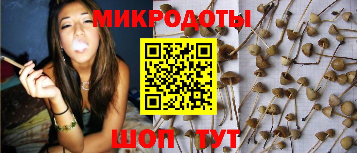 Южно-Сахалинск  Псилоцибиновые грибы ЛСД  Вход с VPN  наркота  Галлюциногенные грибы прущие грибы 